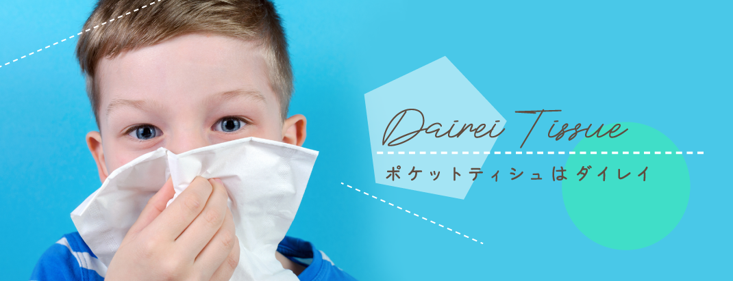 Dairei Tissue:ポケットティシュはダイレイ